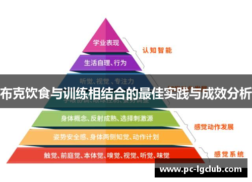 布克饮食与训练相结合的最佳实践与成效分析