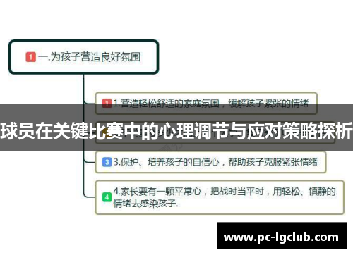 球员在关键比赛中的心理调节与应对策略探析
