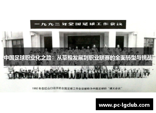 中国足球职业化之路：从草根发展到职业联赛的全面转型与挑战
