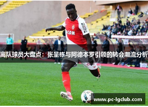 离队球员大盘点：张呈栋与阿德本罗引领的转会潮流分析