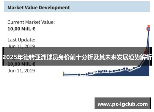 2025年德转亚洲球员身价前十分析及其未来发展趋势解析