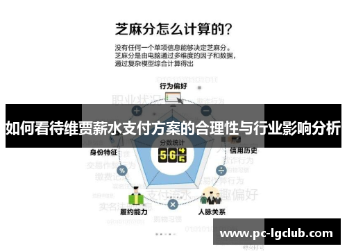 如何看待维贾薪水支付方案的合理性与行业影响分析