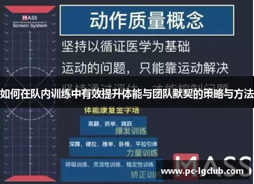 如何在队内训练中有效提升体能与团队默契的策略与方法