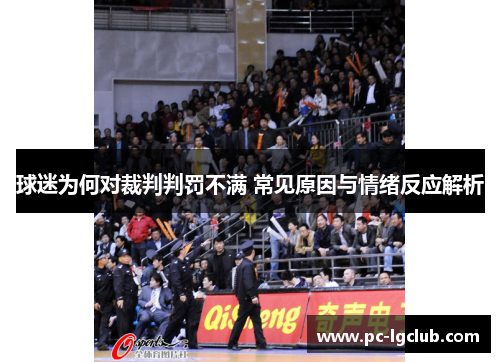 球迷为何对裁判判罚不满 常见原因与情绪反应解析