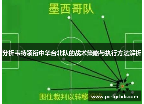 分析韦特领衔中华台北队的战术策略与执行方法解析