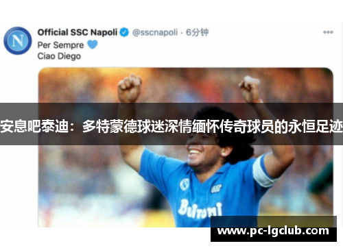 安息吧泰迪：多特蒙德球迷深情缅怀传奇球员的永恒足迹