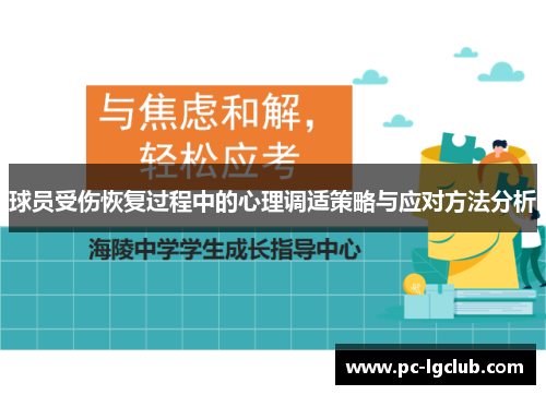 球员受伤恢复过程中的心理调适策略与应对方法分析