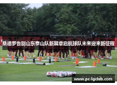 桑德罗告别山东泰山队新篇章启航球队未来迎来新征程