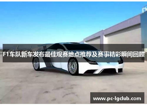 F1车队新车发布最佳观赛地点推荐及赛事精彩瞬间回顾