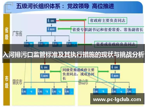 入河排污口监管标准及其执行措施的现状与挑战分析