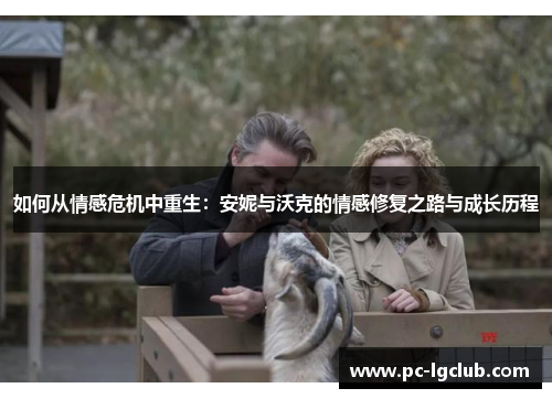 如何从情感危机中重生：安妮与沃克的情感修复之路与成长历程