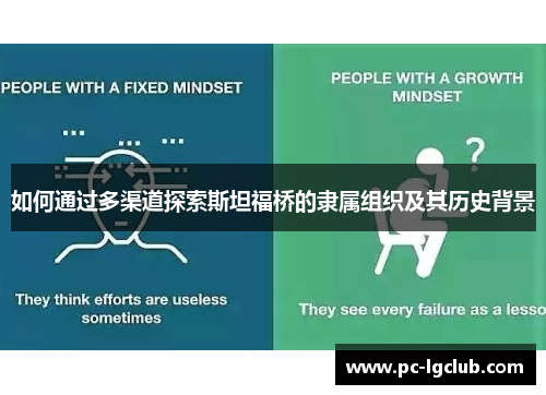 如何通过多渠道探索斯坦福桥的隶属组织及其历史背景