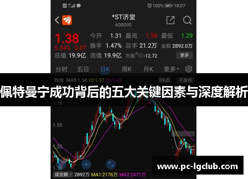 佩特曼宁成功背后的五大关键因素与深度解析