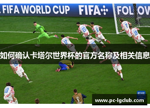 如何确认卡塔尔世界杯的官方名称及相关信息