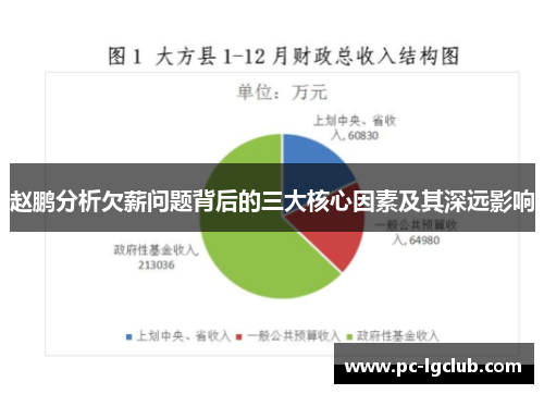 赵鹏分析欠薪问题背后的三大核心因素及其深远影响 赵鹏分析欠薪问题背后的三大核心因素及其深远影响