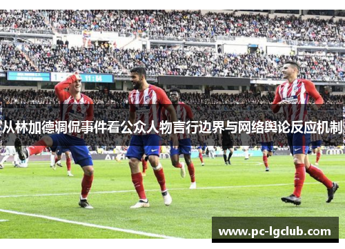 从林加德调侃事件看公众人物言行边界与网络舆论反应机制 从林加德调侃事件看公众人物言行边界与网络舆论反应机制