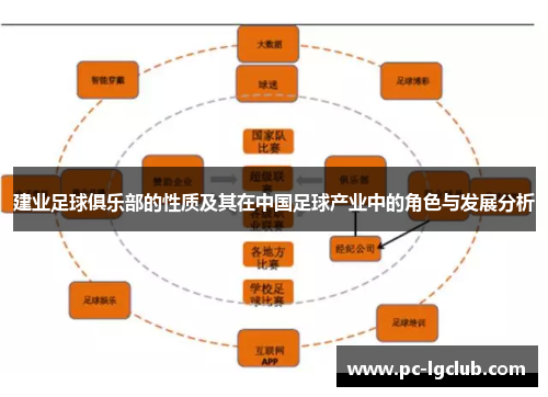 建业足球俱乐部的性质及其在中国足球产业中的角色与发展分析