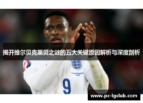 揭开维尔贝克黑贝之谜的五大关键原因解析与深度剖析 揭开维尔贝克黑贝之谜的五大关键原因解析与深度剖析