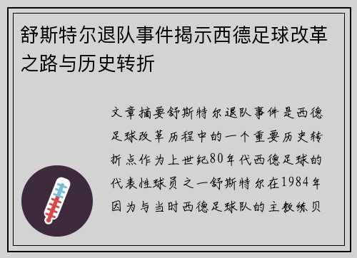 舒斯特尔退队事件揭示西德足球改革之路与历史转折 舒斯特尔退队事件揭示西德足球改革之路与历史转折