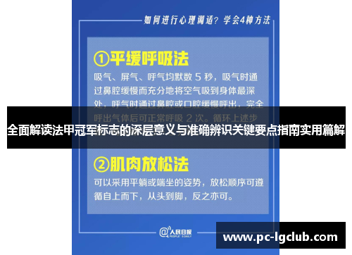 全面解读法甲冠军标志的深层意义与准确辨识关键要点指南实用篇解 全面解读法甲冠军标志的深层意义与准确辨识关键要点指南实用篇解