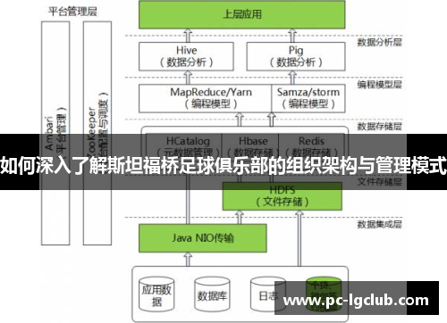 如何深入了解斯坦福桥足球俱乐部的组织架构与管理模式 如何深入了解斯坦福桥足球俱乐部的组织架构与管理模式