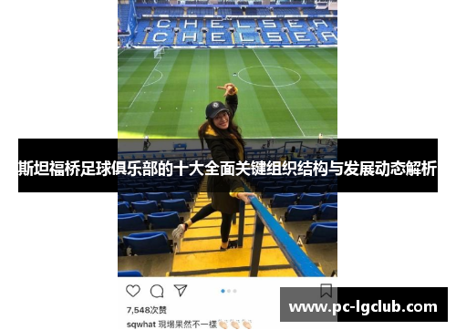 斯坦福桥足球俱乐部的十大全面关键组织结构与发展动态解析