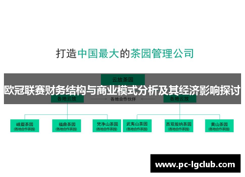 欧冠联赛财务结构与商业模式分析及其经济影响探讨