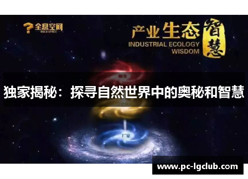 独家揭秘：探寻自然世界中的奥秘和智慧