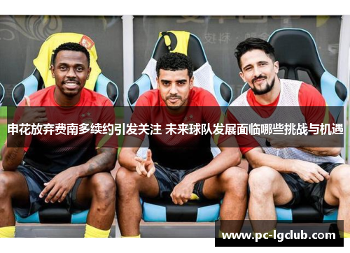 申花放弃费南多续约引发关注 未来球队发展面临哪些挑战与机遇